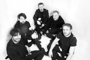 Absent Theory White Roses